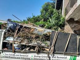 Best Attic Cleanout  in Driggs, ID