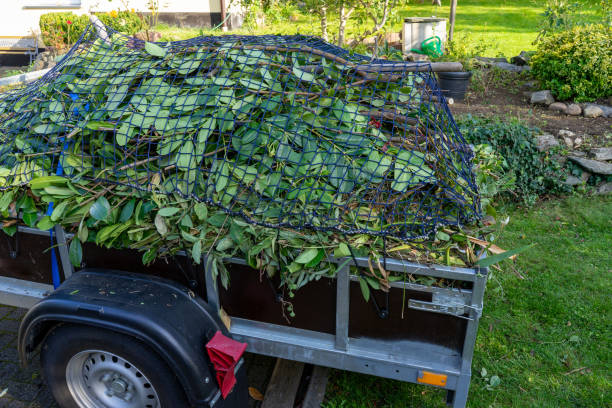 Best Residential Junk Removal  in Driggs, ID